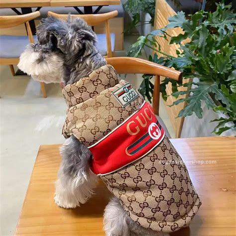 gucci monogram dog carrier|designer dog coats Gucci.